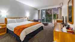 Luxury Suite