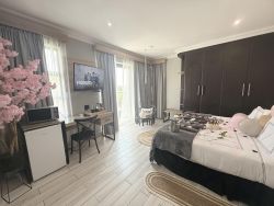 Deluxe King / Twin with Jacuzzi and Shower