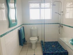Bathroom with large shower