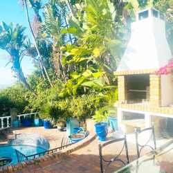 Braai area in garden 