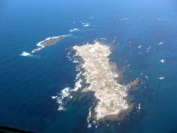 Dyer Island, Geyser Rock and Shark Alley