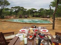 Breakfast at swimming pool