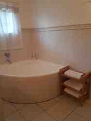 Family Room Bathroom with bath & shower