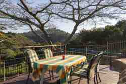 Nature reserve from deck
