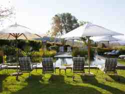 Swimming Pool Loungers