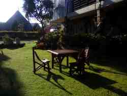 Front garden