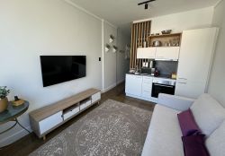 Living room with seating area, TV and kitchenette