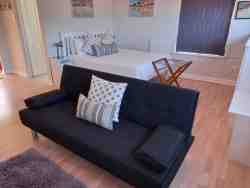 Big Thyme sleeper couch