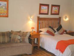 Double room with sleeper couch