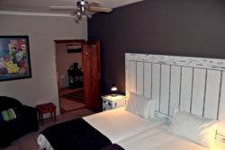 Standard Shared room