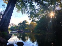Bottom of Garden Vaal River and Entrance to Golf Course