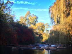 Bottom of Garden Vaal River
