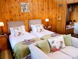 Twin room