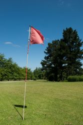 Putt and chip course