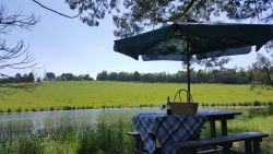 Pic Nic spot 