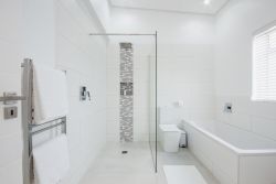 Superior Suites walk-in shower & bath