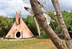 Paws Tipi