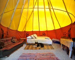 Noy Noy TiPi interior