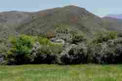 Assegai House Setting