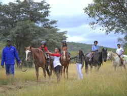 Horse riding