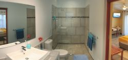 Bathroom / Seashells