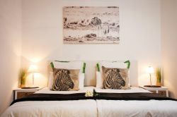 Budget Room Zebra