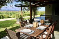 Patio view