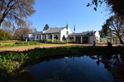 Pond view