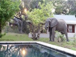 Frequent visitors