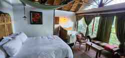 Palm Suite
