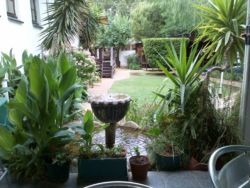 fish pond