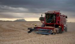 Working farm