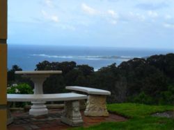 View in Garden