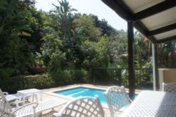 Terrace & Pool