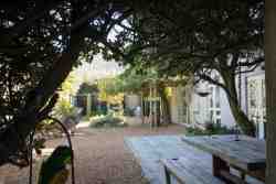 Back garden