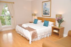 standard suite