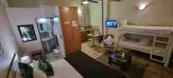 Open Plan bachelor cottage with king bed & bunkbed in same room, kitchenette & en-suite bathroom with shower
