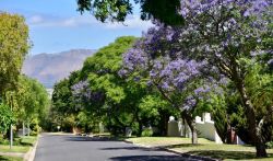 Berrydel Avenue