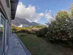View from garden
