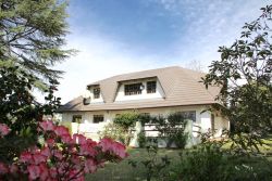 The Thatched House 