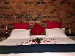 Romantic room set up