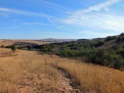 Hiking trail