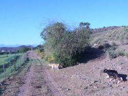 This road leads to the river but there are approx 25kms of roads to walk or cycle - bring your bikes.