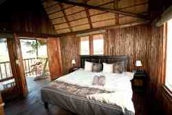 Tree house with king bed