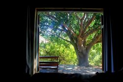 View from Langhuis bedroom