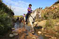 Horse Back Safaris