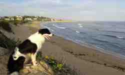 beach