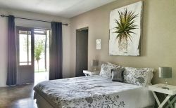 Aloe suite
