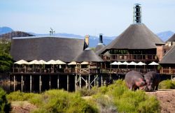Buffelsdrift Game Lodge View