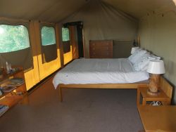 main room
